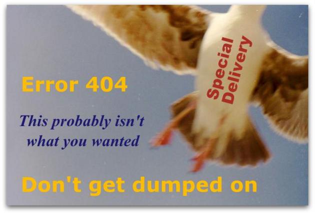 404 Error - Page Not Found